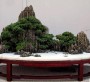 Hòn non bộ mini - mẫu tham khảo 42